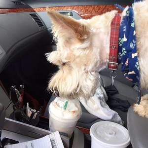 Meet your Posher, Lana