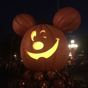 Meet your Posher, Kiki