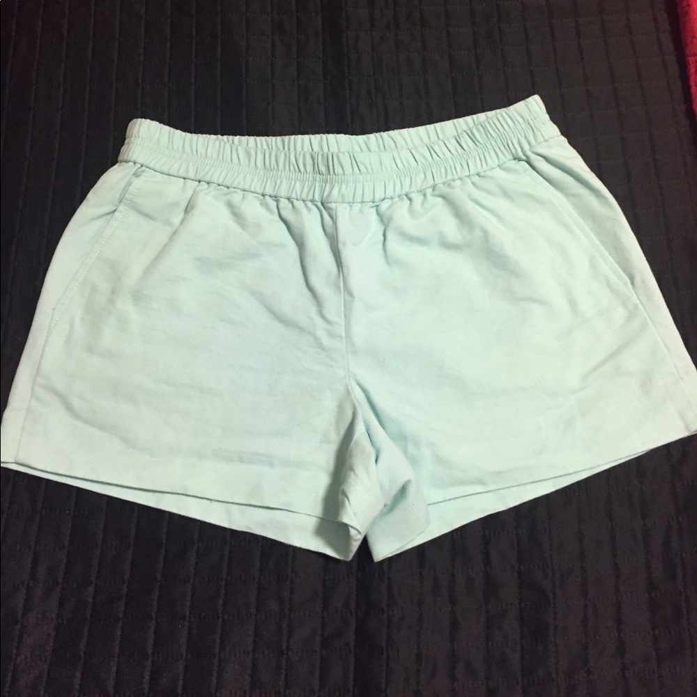 JCrew Mint Shorts