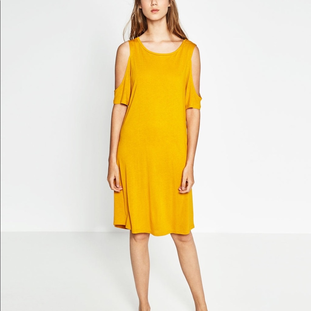 Zara dress