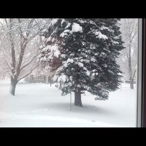 Meet your Posher, Colleen