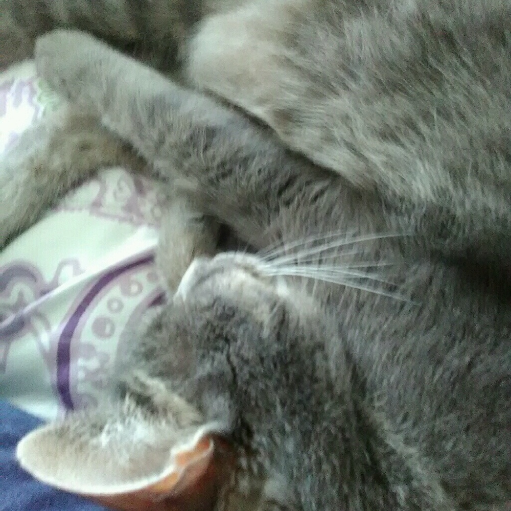 Meet your Posher, Jill