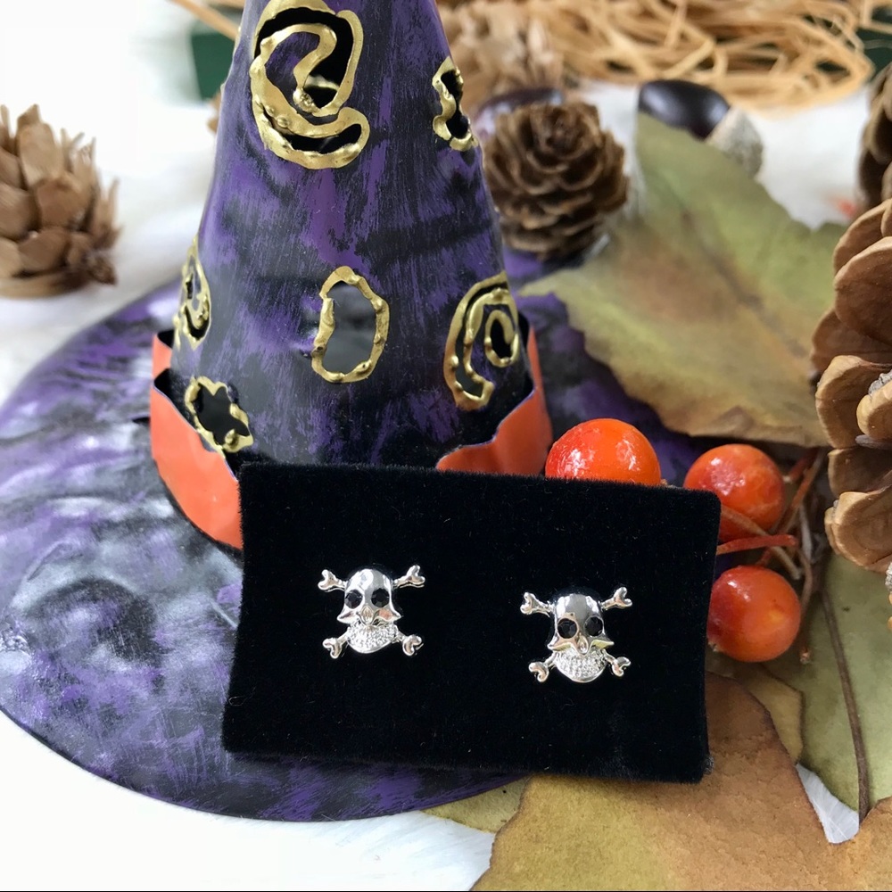 💰Black Crystal Silver Tone Skull Stud Earrings