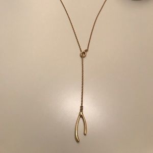 Madewell gold wishbone necklace
