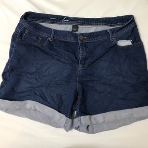 Lane Bryant Blue Jean Shorts