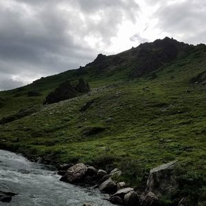 Meet your Posher, Jackson