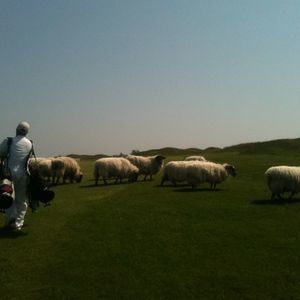 Meet your Posher, Courtney