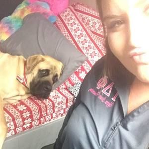 Meet your Posher, Bailey