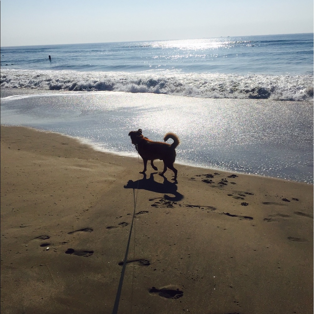 Meet your Posher, Jana