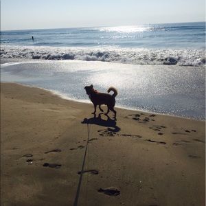 Meet your Posher, Jana