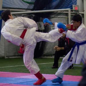 Meet your Posher, Leonardo