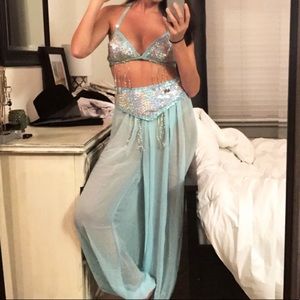 Halloween Jasmine/belly dancer costume.
