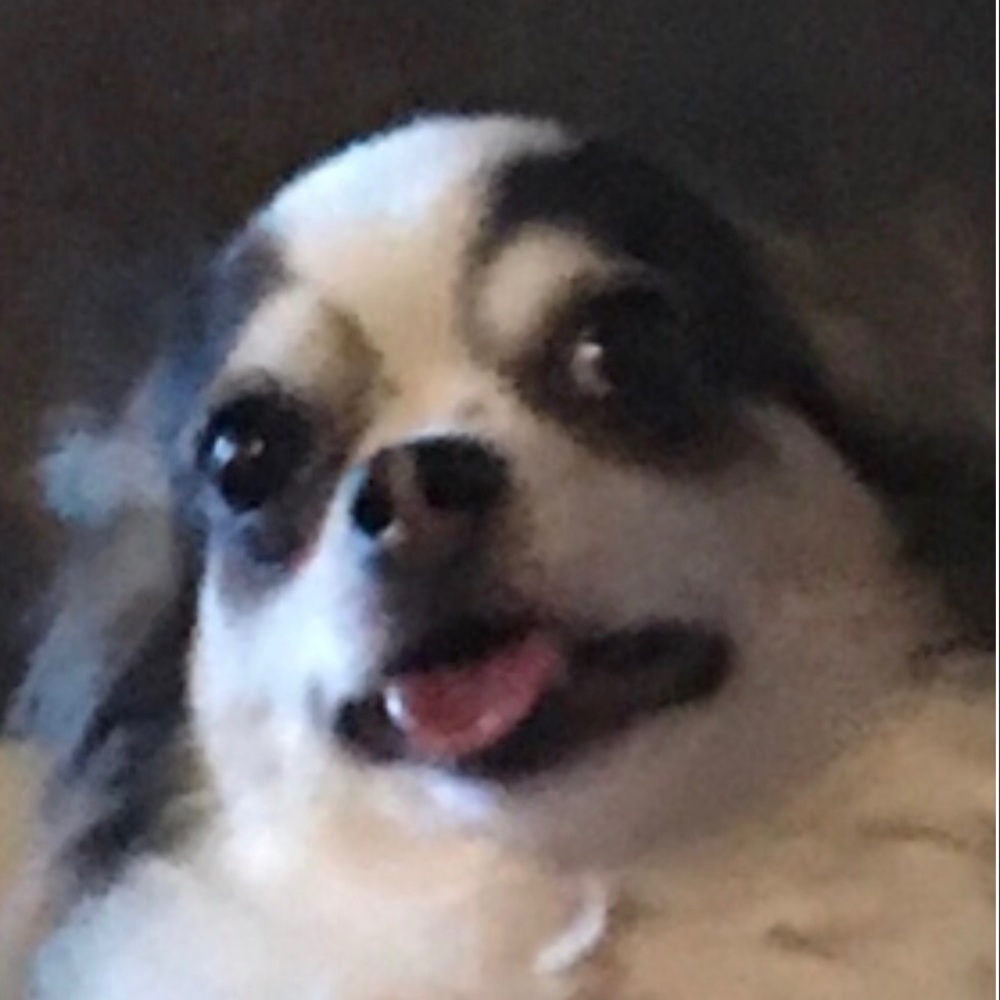 Meet your Posher, Jerrod