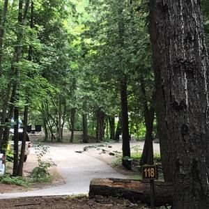 Meet your Posher, Bobby