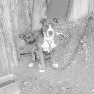 Meet your Posher, Zayden