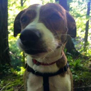 Meet your Posher, Colleen