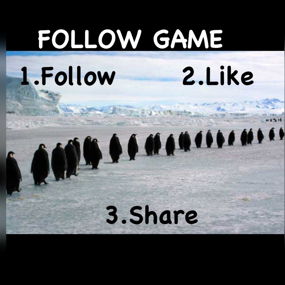 FOLLOW GAME
