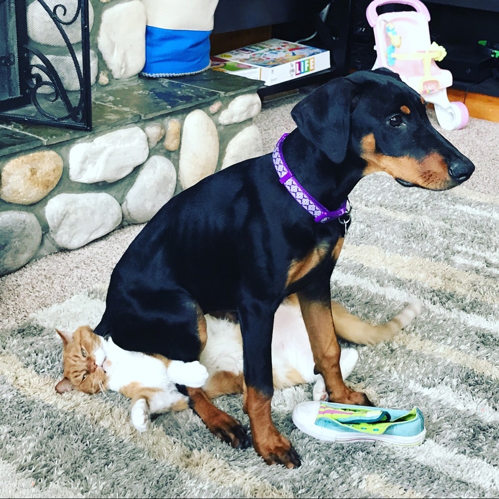 Meet your Posher, Rebecca