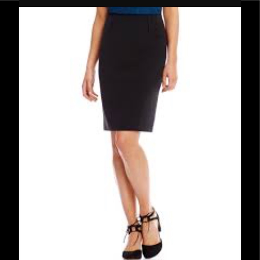 Alex Garfield Pencil Skirt
