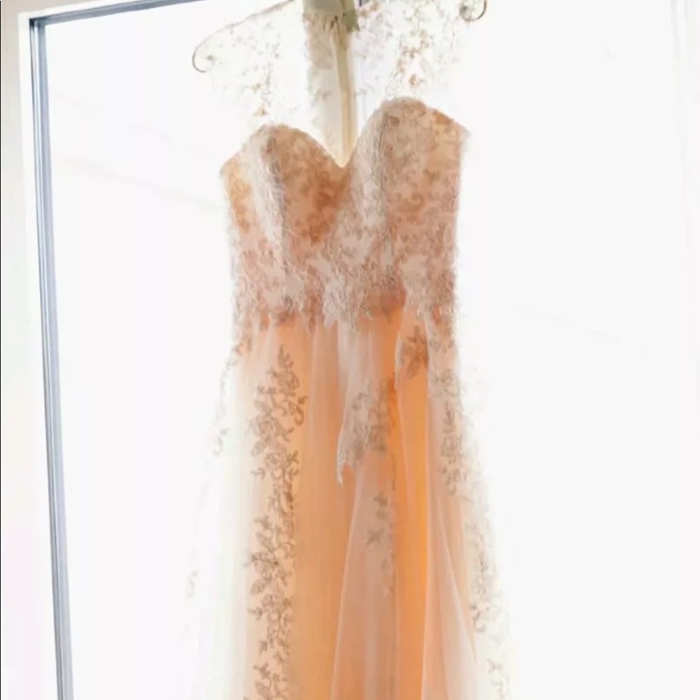 Gorgeous Champagne Blush Wedding Dress
