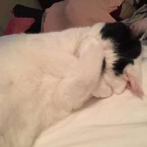 Meet your Posher, Michelle