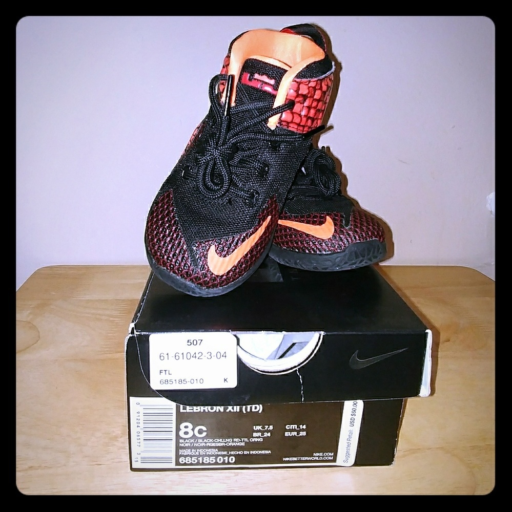 Boy's toddler size 8 LeBron XII (12)