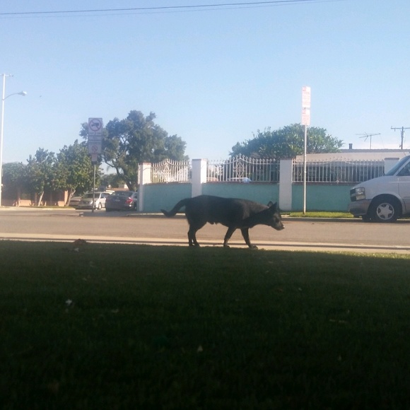 Meet your Posher, Paul - Picture 1 of 1