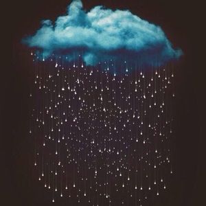 Meet your Posher, Savannah