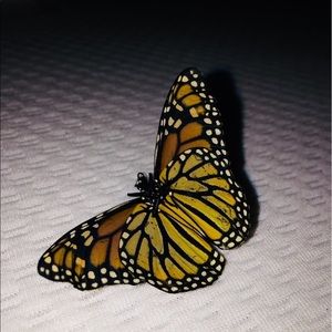 Meet your Posher, Charles