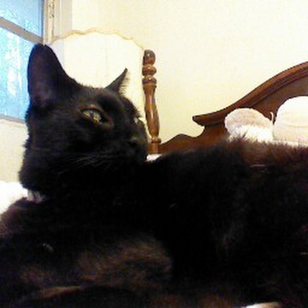 Meet your Posher, Penny