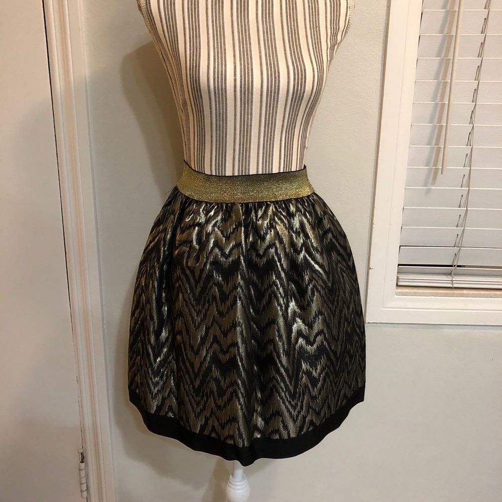 Festive Gold and Black Skirt