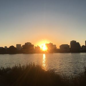 Meet your Posher, Tuong ron