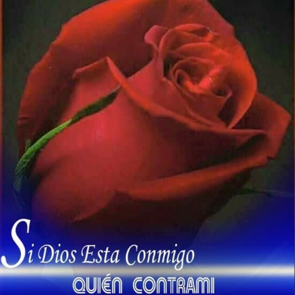 Meet your Posher, Pauline