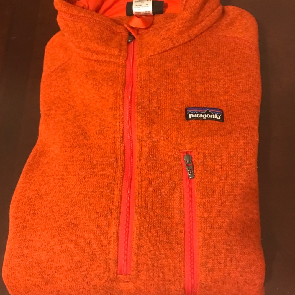 Mens Patagonia better sweater