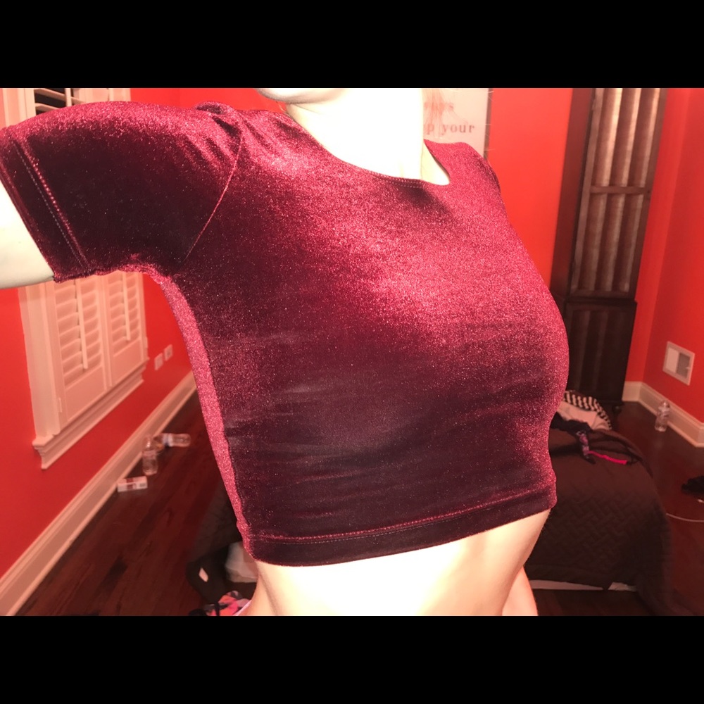American apparel maroon velvet crop top