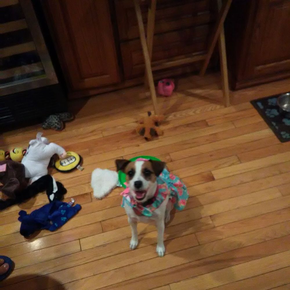 Meet your Posher, Rochelle