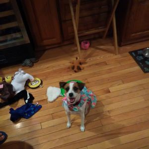 Meet your Posher, Rochelle