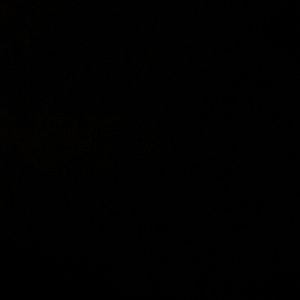 Meet your Posher, Irma