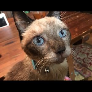 Meet your Posher, Heather