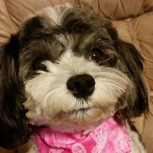 Meet your Posher, Jackie