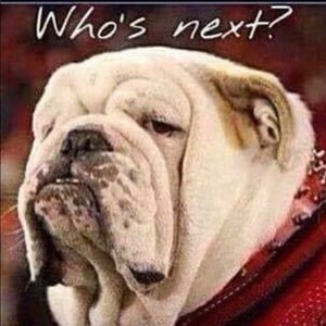 Meet your Posher, Cynthia