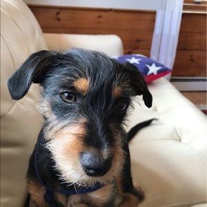 Meet your Posher, Stuart
