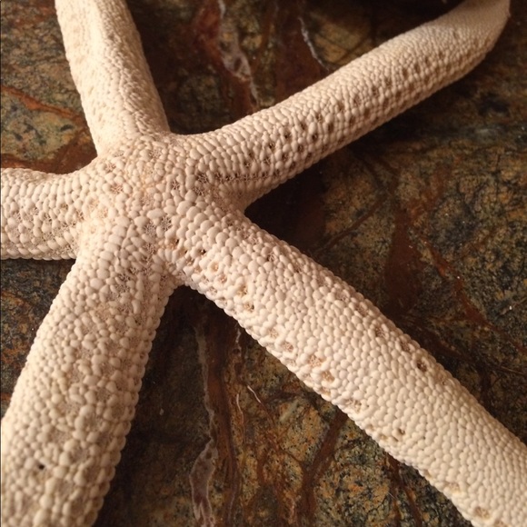 Meet your Posher, Kathleen - Picture 1 of 1