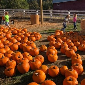 Meet your Posher, Marji