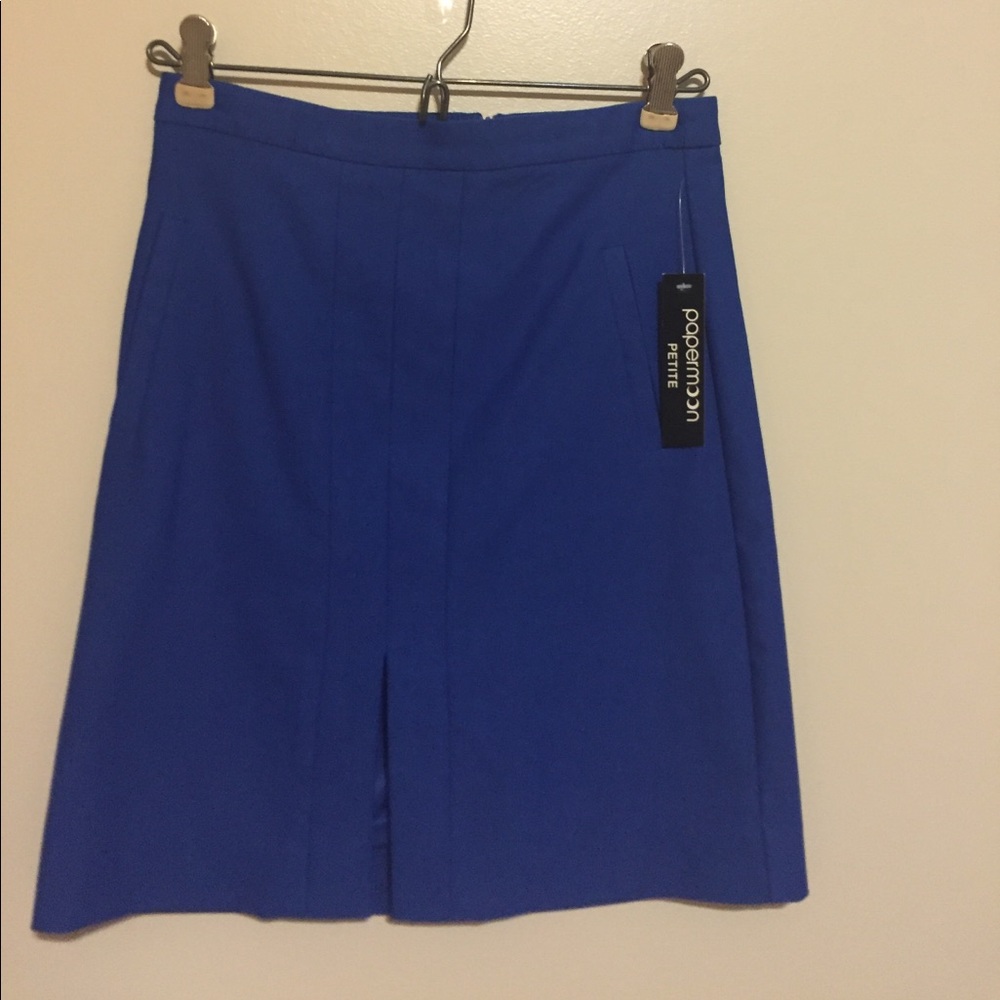 NWT blue skirt