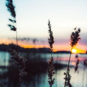 Meet your Posher, Reese