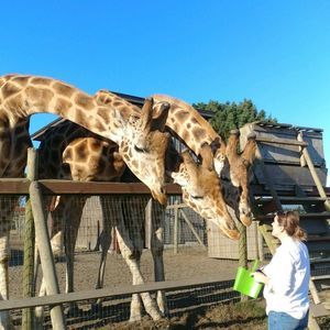 Meet your Posher, Christine