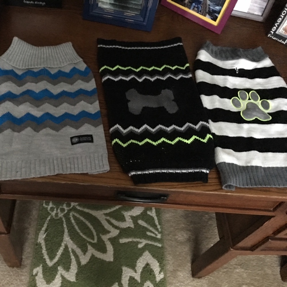Puppy dog sweaters