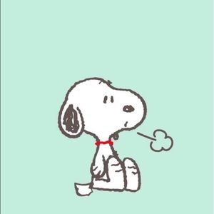 Meet your Posher, Daytona