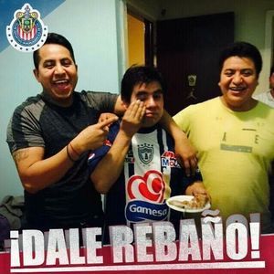 Meet your Posher, Mauro